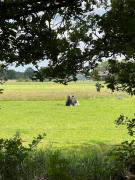 Landgoed Eik & Linde