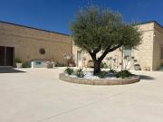 Top Gravina in Puglia