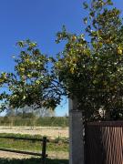 Top Canet-en-Roussillon