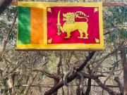 Yala Jungle Haven