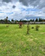 Top Panguipulli Top Panguipulli