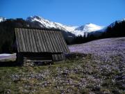 Top Zakopane