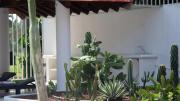 Top Ixtapa