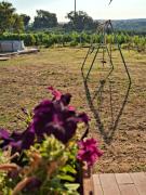 Top Magliano in Toscana