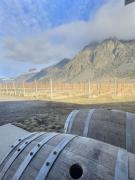 Spacious Getaway Two Homes on a Tranquil Vineyard Ideal for Large Groups