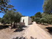 Top Ostuni