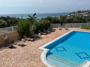 Top Arillas