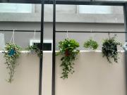 Lighting Villa OCP - Ocean Park Full tiện nghi View đẹp