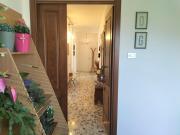 Top Casoli Top Casoli