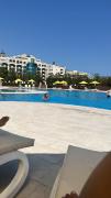 Top Pomorie