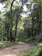 Top São Pedro de Alcântara