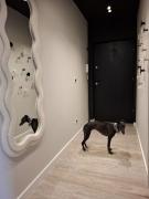 Top Wrocław Top Wrocław