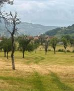 Top Andrijevica