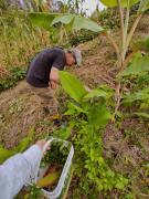 Top São Pedro de Alcântara