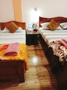 Arara ibt homestay