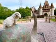 Top Fatouville-Grestain