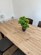 Gemütliches Apartment mit Küche, WiFi und Smart-TV in Hamm Mark