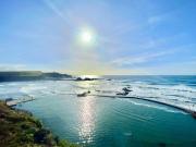 Top Bude