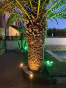 Top Argés Top Argés