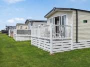 The Laughing Seagull - Uk50213