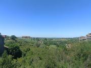 Top Bagnaia