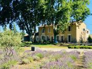 Mas des Branches dOr