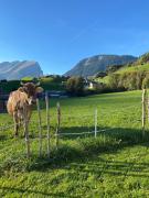 Appartement Holderstauden