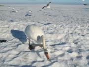Ferienwohnung "Hafftraum"