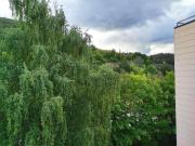 Ferienwohnung Waldwiese