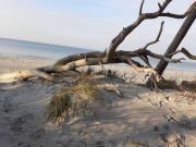 Top Ribnitz-Damgarten