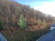 Ferienwohnung Harzverliebt