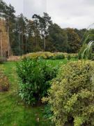 Waldblick Fewo Noeske - GM 69606