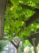 Top Hannoversch Münden