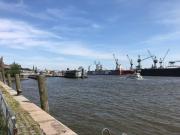 Ferienhaus Deichgraf 65 im Feriend