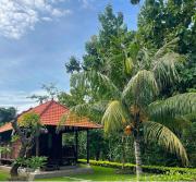 Medori Putih Homestay