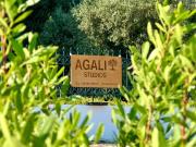 Agali Studios 1