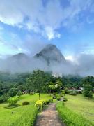 The Cliff and River Jungle Resort ภูผาและลำธารรีสอร์ท