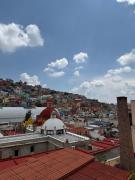 Top Guanajuato Top Guanajuato