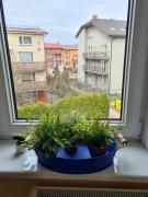 Willa Helios Willa Helios