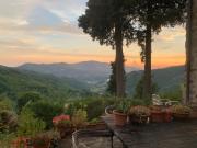 La Felce e il Mirtillo