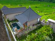 Top Tampaksiring