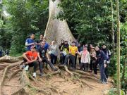 Top Kuala Tahan