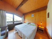 Top Le Grand-Bornand