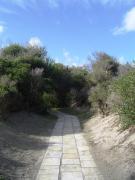 Top Alimini Top Alimini