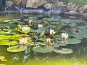 Top San Giovanni in Marignano