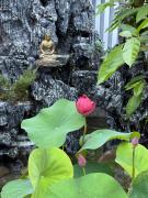 Tran Nguyen Villa Phố Hiến Hưng Yên