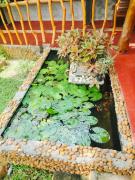 Nature Lovers Safari Villa