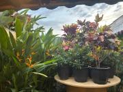 Top Santa Cruz de Mompox