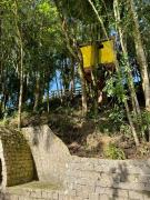 Top Araucária
