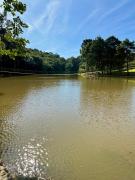 Top Araucária